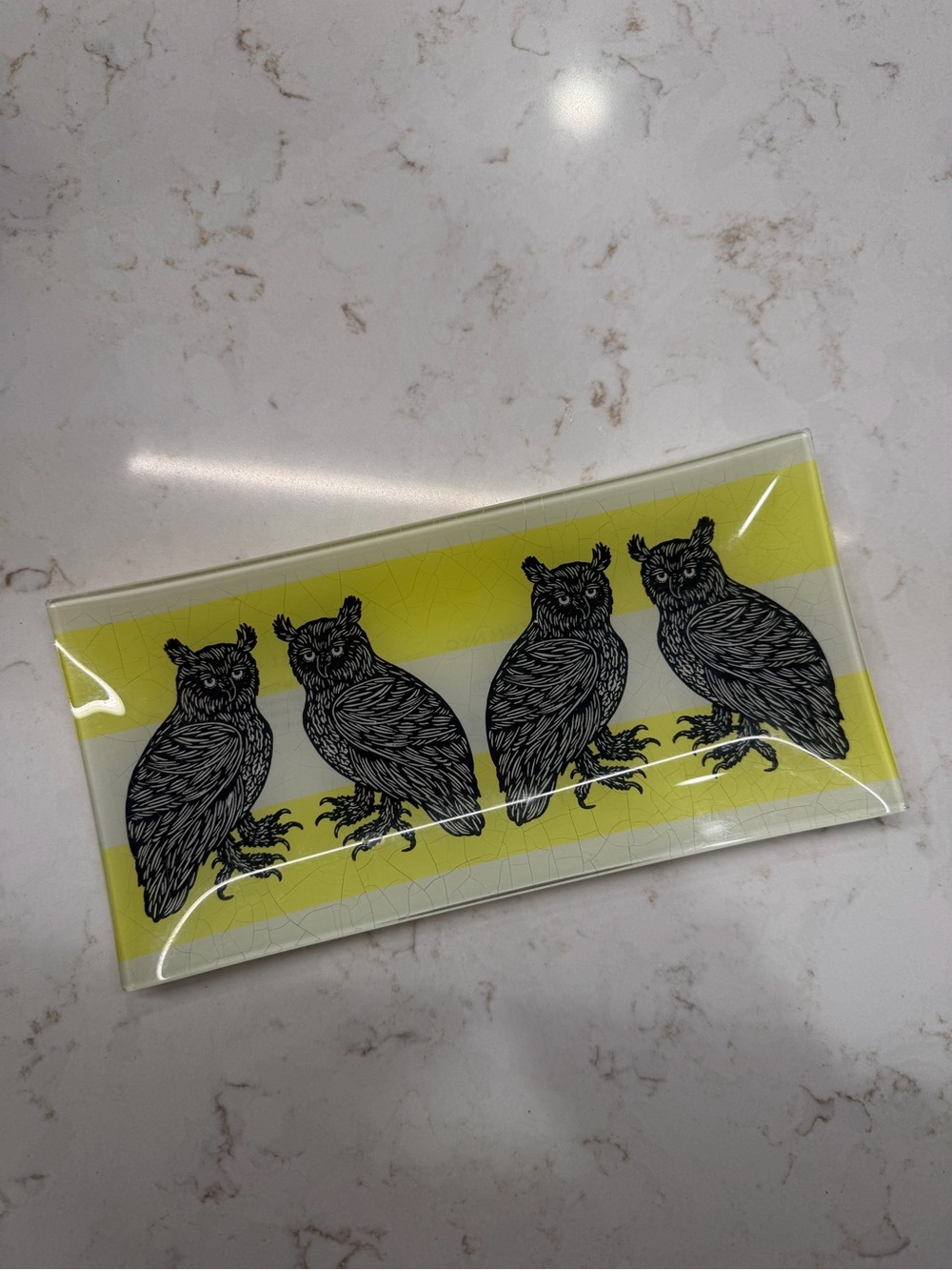 West Elm Patch NYC Owl Decorative Glass Tray
